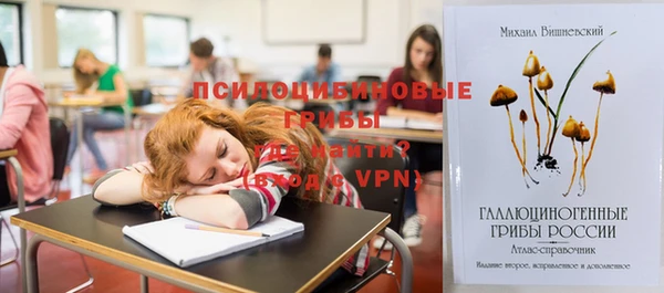 ПСИЛОЦИБИНОВЫЕ ГРИБЫ Беломорск