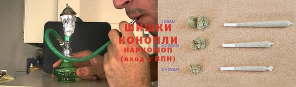 сатива Белоозёрский