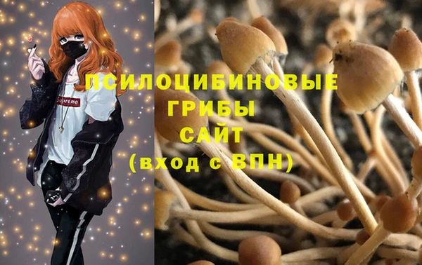 сатива Белоозёрский